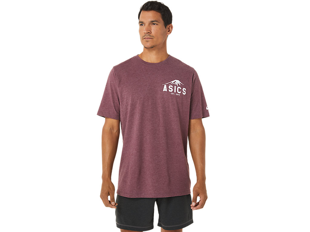 Men's Asics Fuji 1977 Tee T Shirts Burgundy / Red | 8437-AJZPI