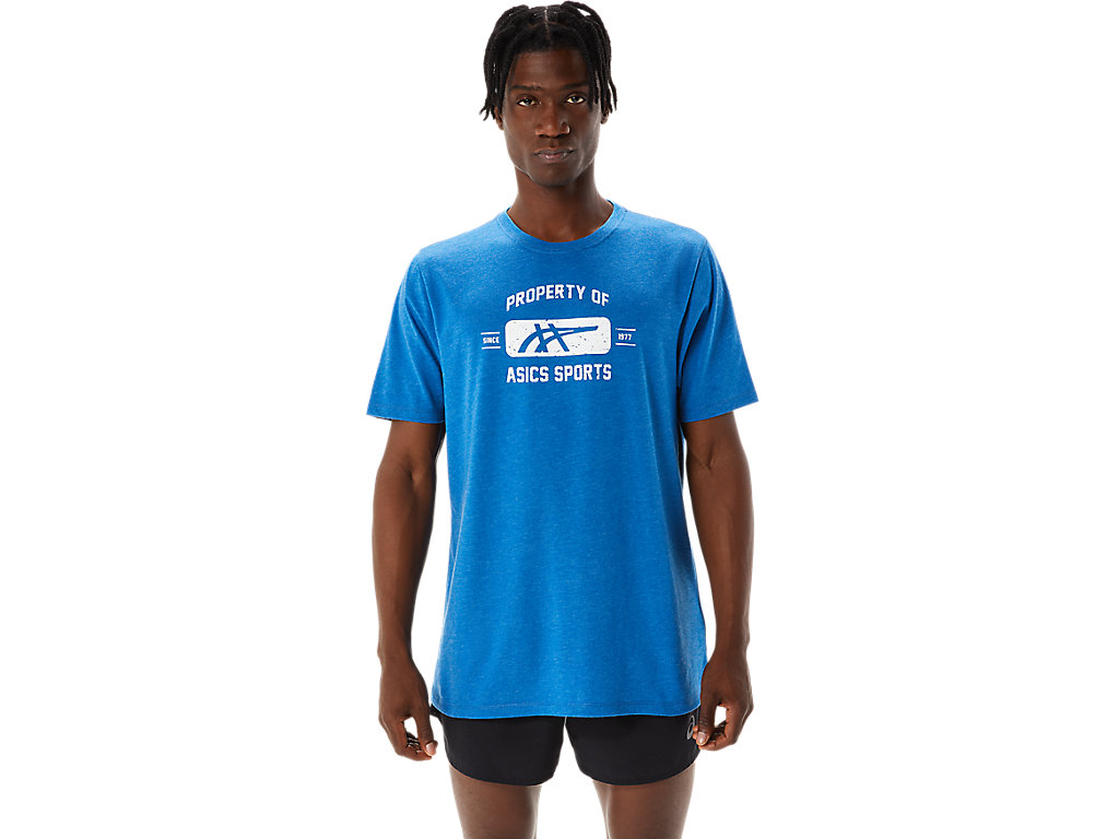 Men's Asics Property Of Sports Tee T Shirts Blue | 7249-LREZK