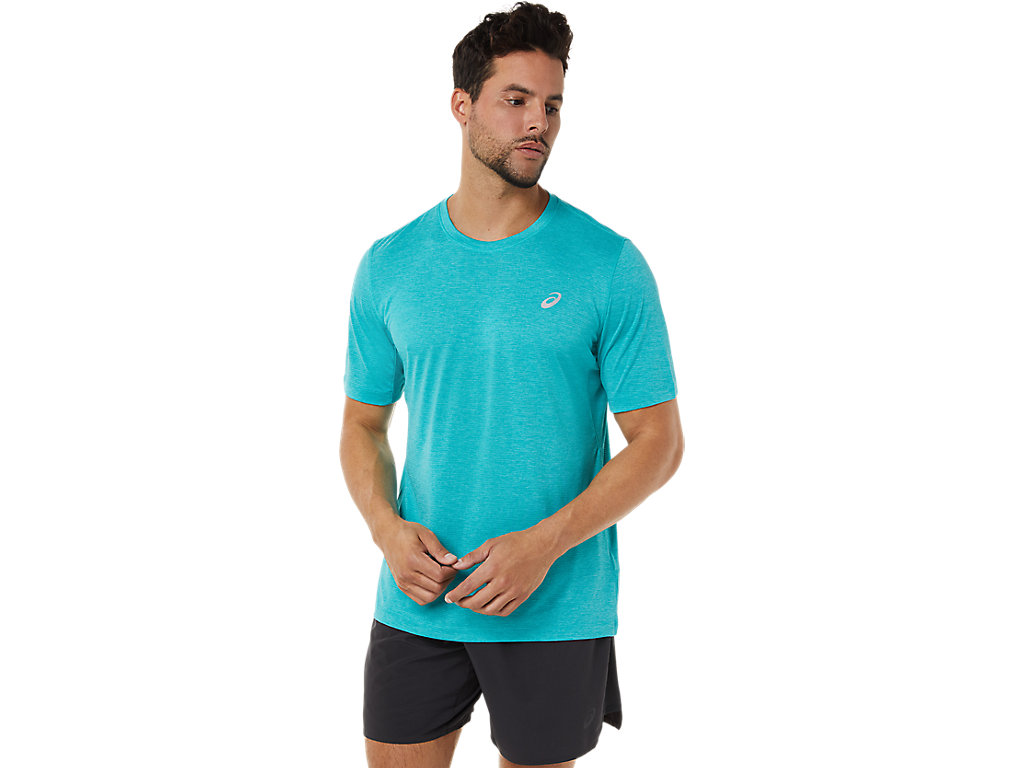 Men's Asics Short Sleeve Performance T Shirts Blue | 3295-CHUVA