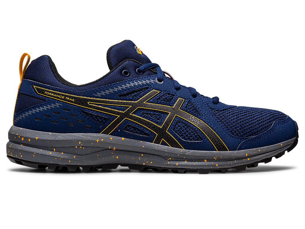 Men's Asics Torrance Trail Sneakers Blue / Black | 2093-FRJXN