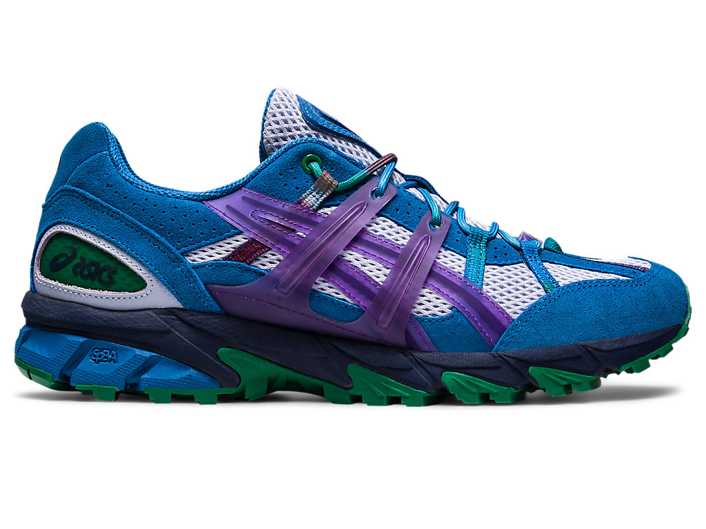 Women's Asics Gel-Sonoma 15-50 Trail Running Shoes Purple / Blue | 3861-QYEIF