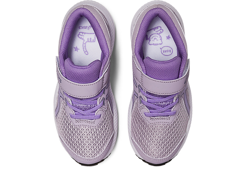 Kids' Asics Contend 8 Pre-School Running Shoes Purple / Purple | 4263-UBPKH