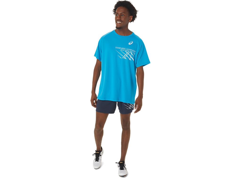 Men's Asics Finish Line Graphic Sleeve T Shirts Blue | 2976-KNZWB