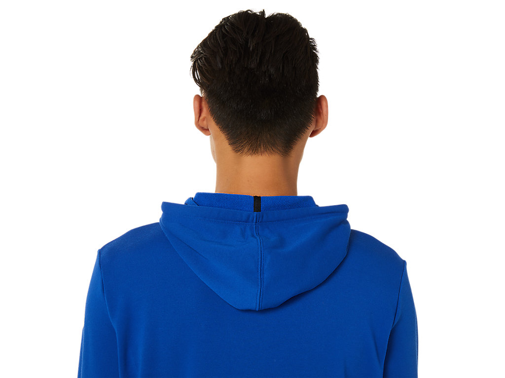 Men's Asics La Hoodie Royal | 8305-ASTVM