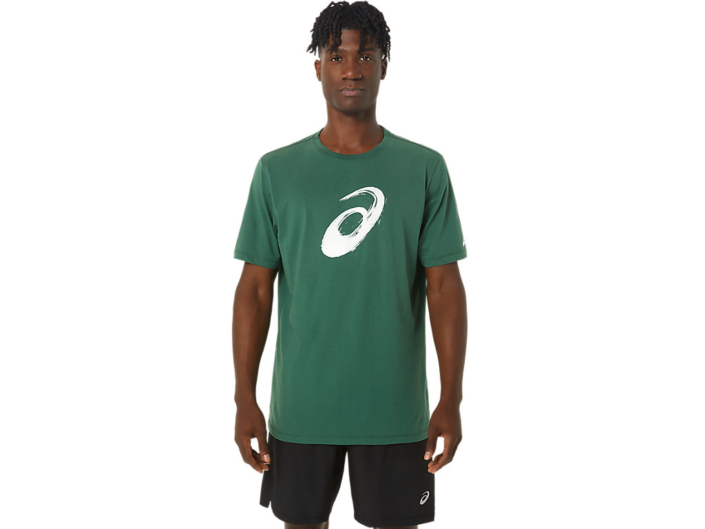 Men's Asics Paintbrush Sleeve Tee T Shirts Green | 5120-NHFOU