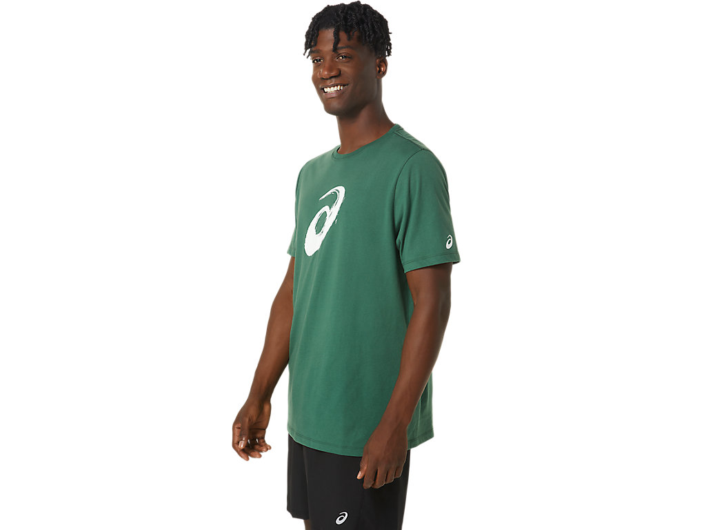 Men's Asics Paintbrush Sleeve Tee T Shirts Green | 5120-NHFOU