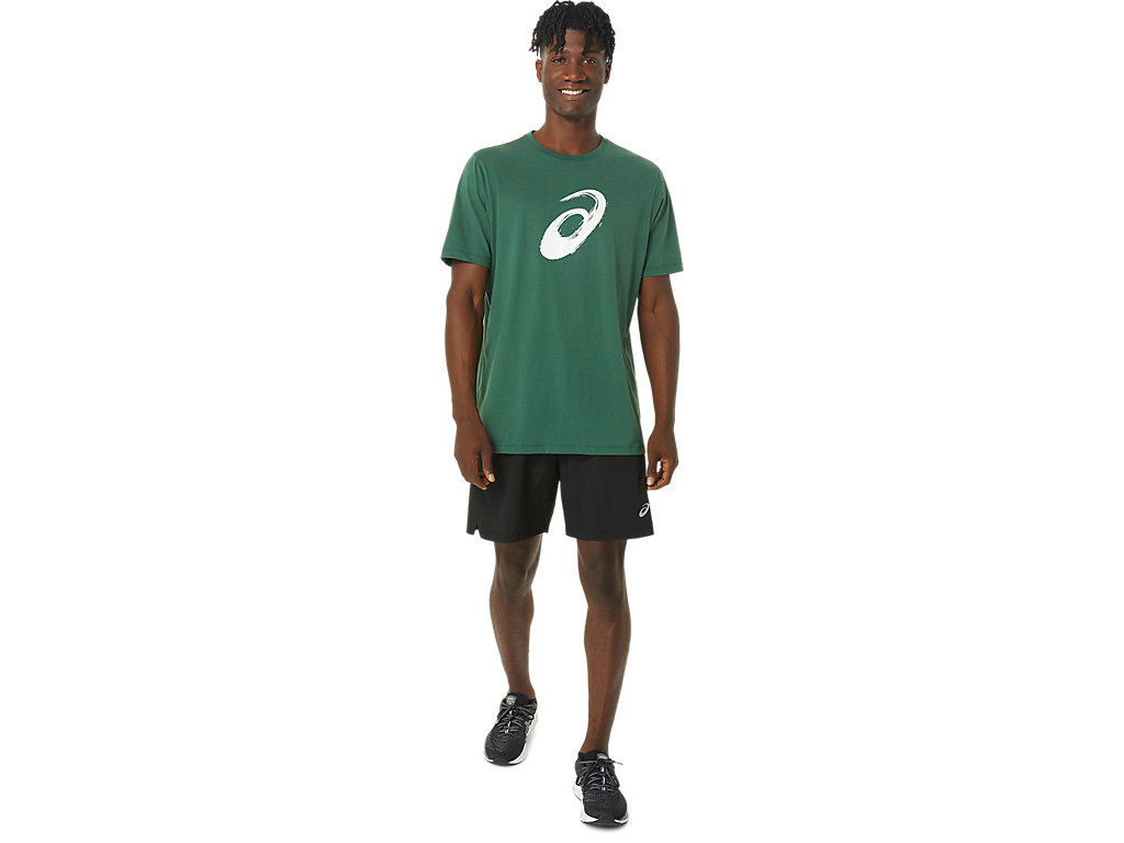 Men's Asics Paintbrush Sleeve Tee T Shirts Green | 5120-NHFOU