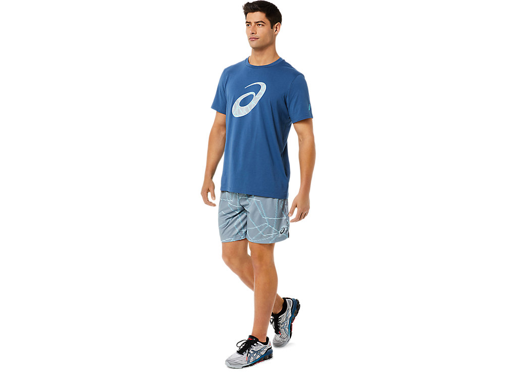 Men's Asics Seasonal All Over Prints Shorts Grey | 3945-JKERV