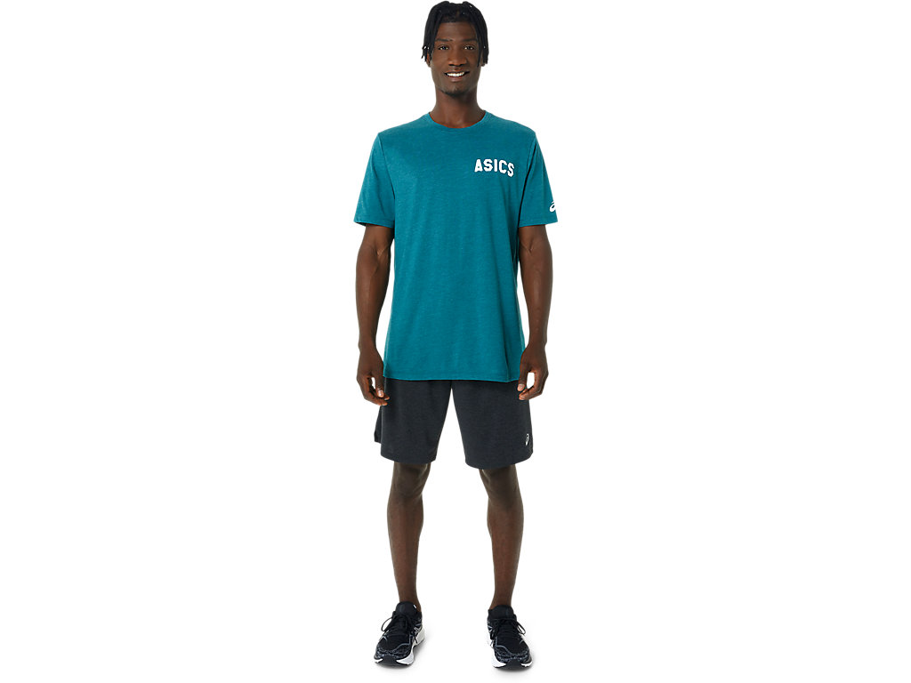 Men's Asics Stripes Sunrise Tee T Shirts Deep Green | 3947-RCMEQ