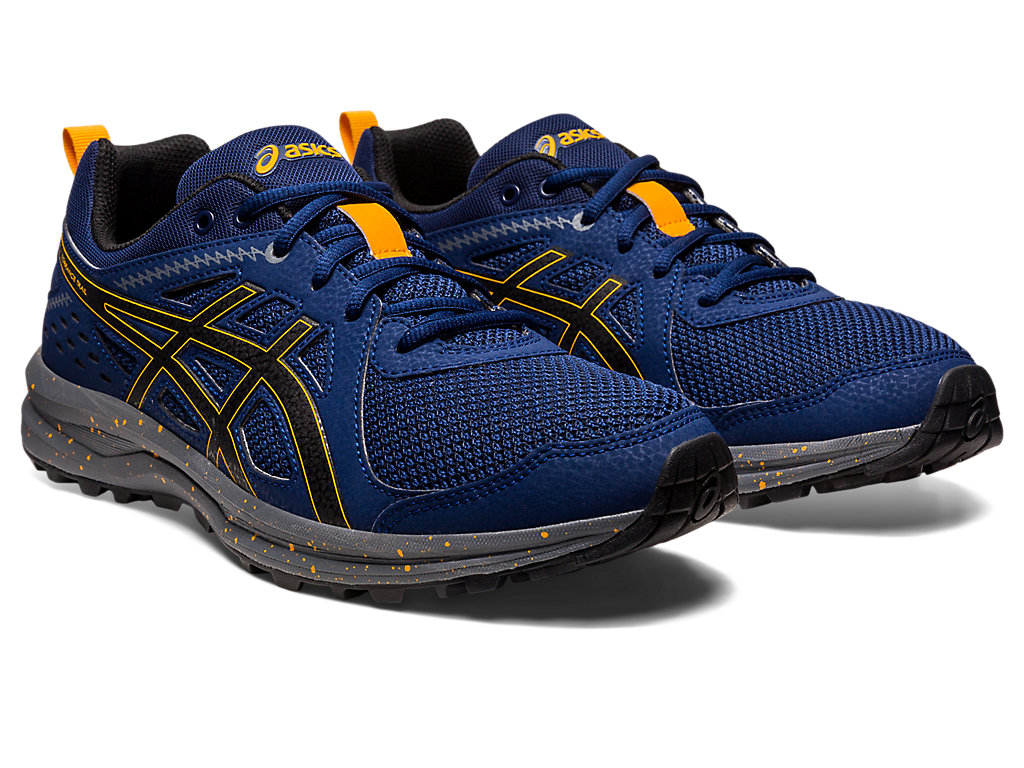 Men's Asics Torrance Trail Sneakers Blue / Black | 2093-FRJXN