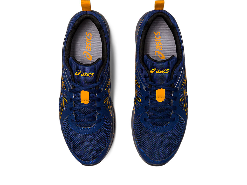 Men's Asics Torrance Trail Sneakers Blue / Black | 2093-FRJXN